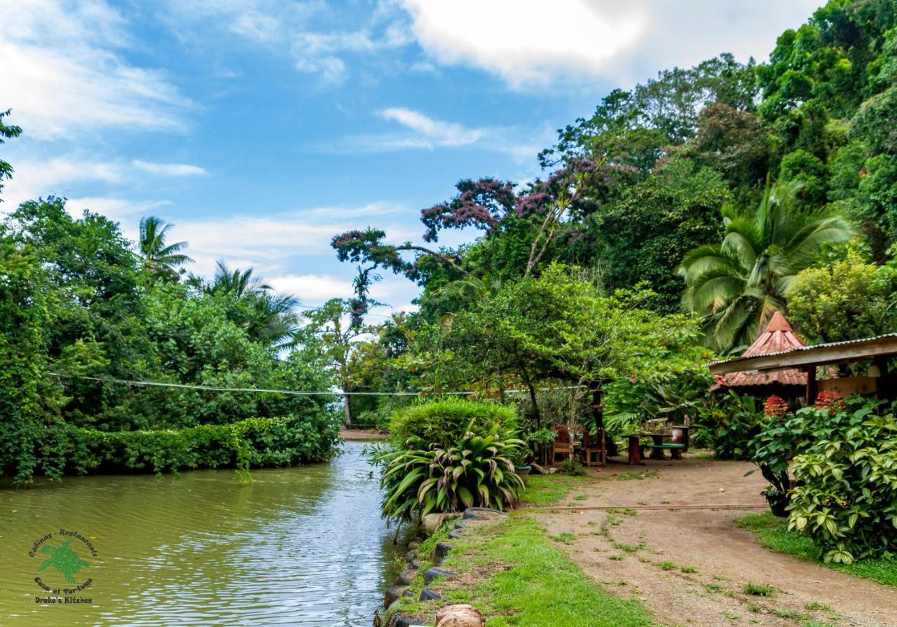 Casa El Tortugo Bed & Breakfast Drake Bay Exterior photo