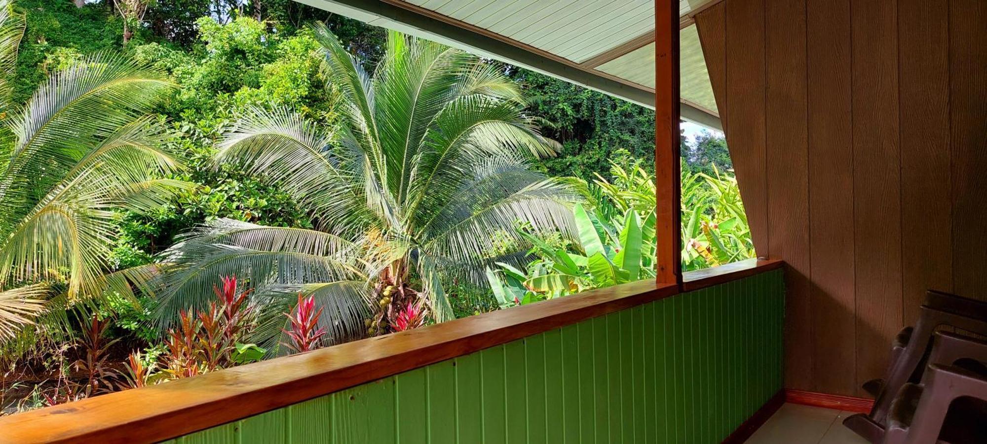 Casa El Tortugo Bed & Breakfast Drake Bay Exterior photo