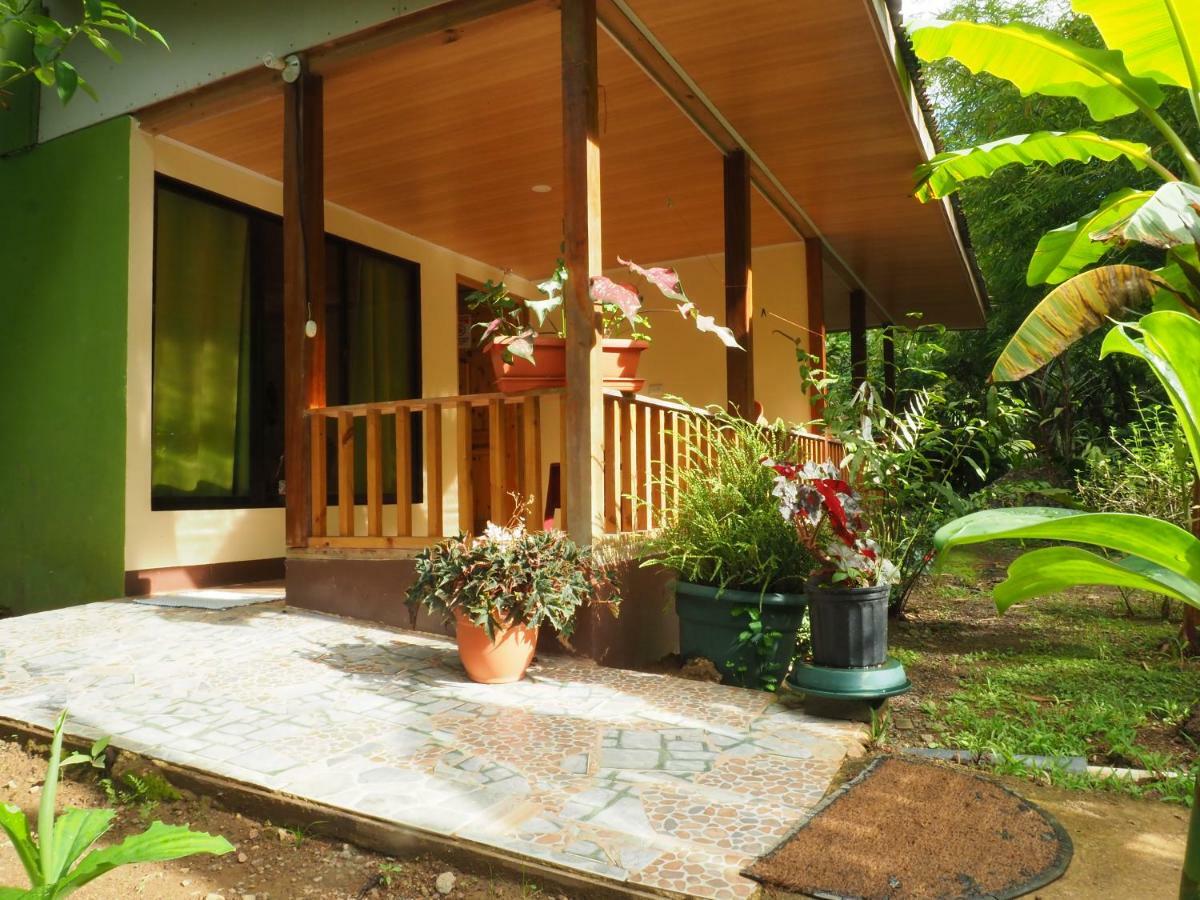 Casa El Tortugo Bed & Breakfast Drake Bay Exterior photo